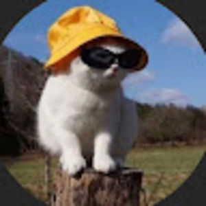 Meet your Posher, Zeever